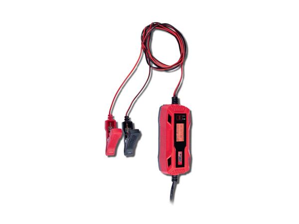 Car & Motorcycle Battery Charger