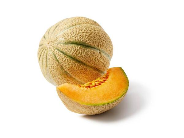 Melon Netted Skin