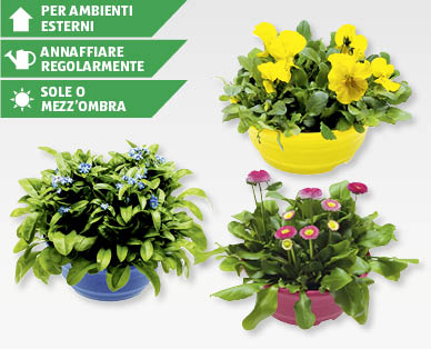Composizioni primaverili GARDENLINE(R)