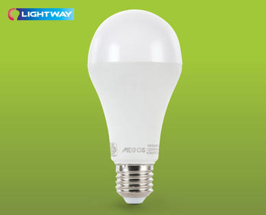 LIGHTWAY LED-Leuchtmittel, dimmbar