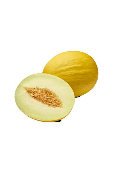 Melon miodowy
