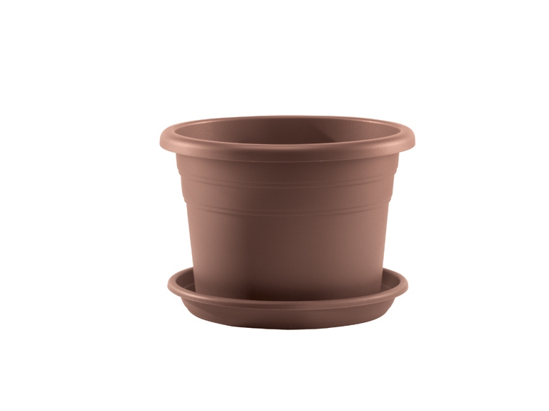 Plant Pot
