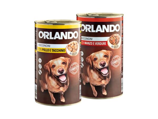 Dogfood chunks