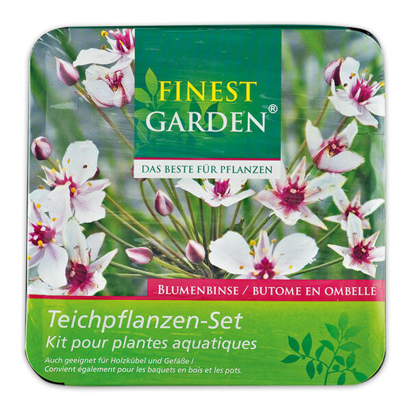 Exklusives Teichpflanzen-Set