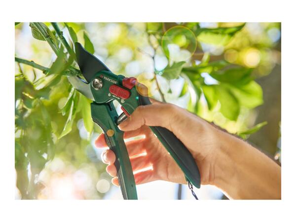 Parkside Secateurs