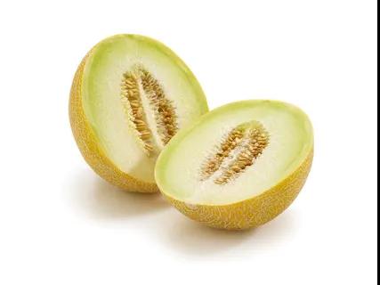 Melon Galia