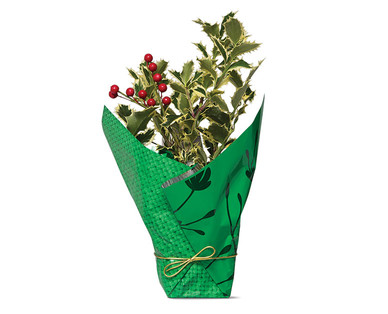 Christmas Holly