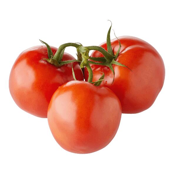 Strauchtomaten