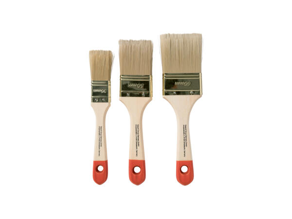 Paintbrush Set
