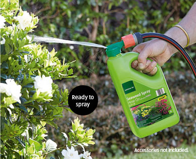 Seaweed Spray Hose On 2 x 2L with added VitaRich