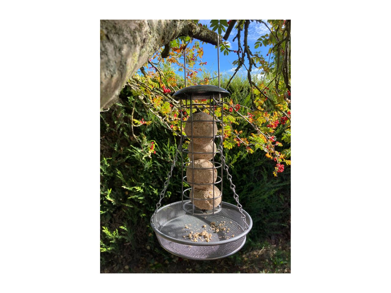 Oakdale Hanging Feeder Tray