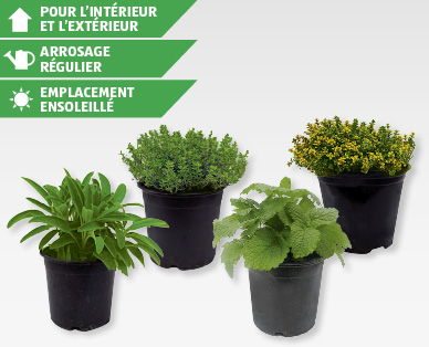 Mélange d'épices italiennes GARDENLINE(R)