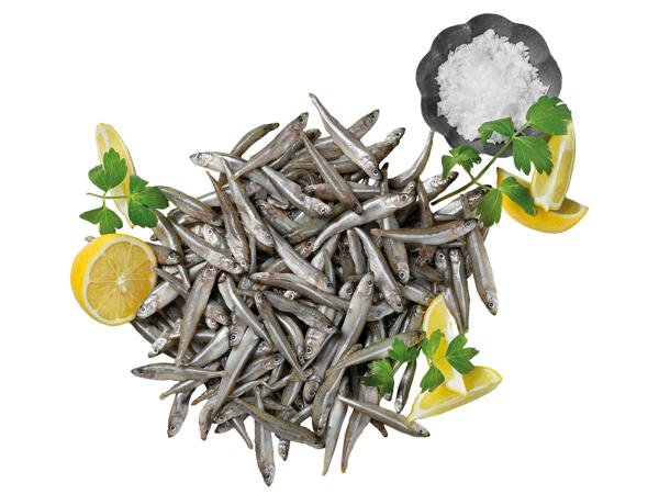Kleiner Ährenfisch