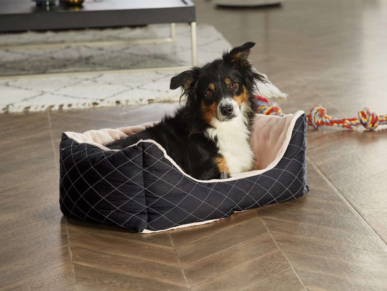 Dog Bed