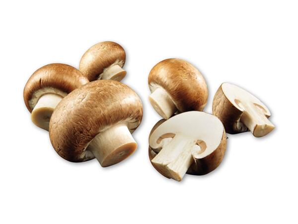 Økologiske danske brune champignon