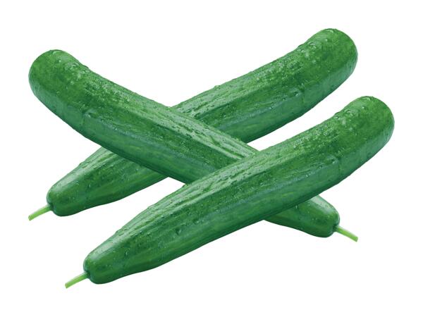 Gurke