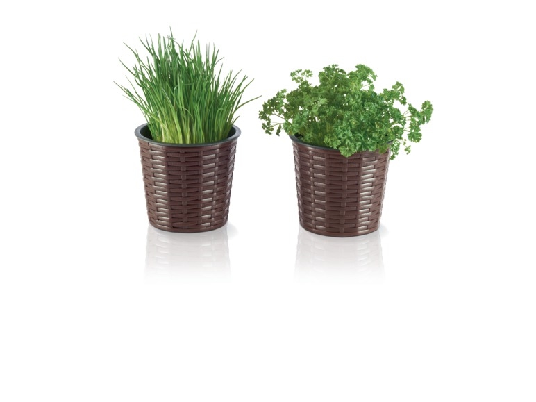 Pots de fleurs pour balcon