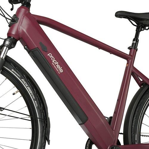 PROPHETE E-Bike Entdecker 2.3 Herren