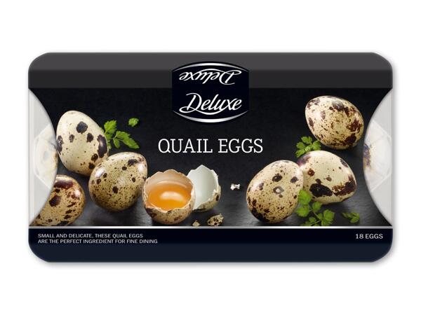 DELUXE Vagtelæg