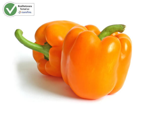 Paprika Orange