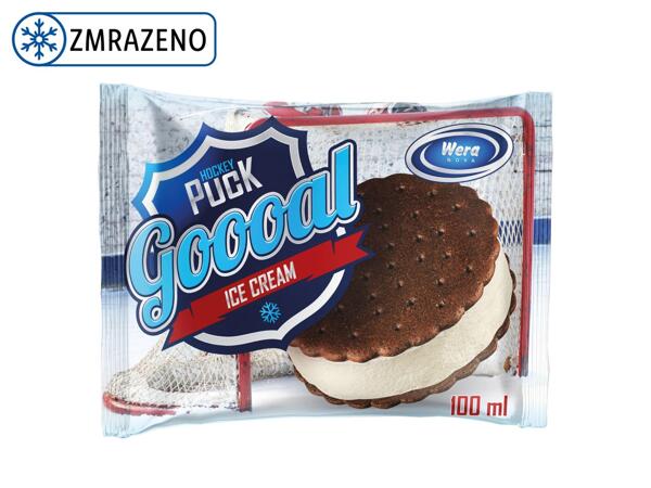 HOKEJOVÝ PUK