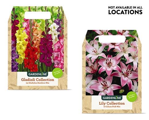 Gardenline 
 Mixed Spring Bulbs Assorted Varieties
