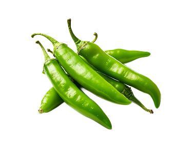 Green Sweet Peppers