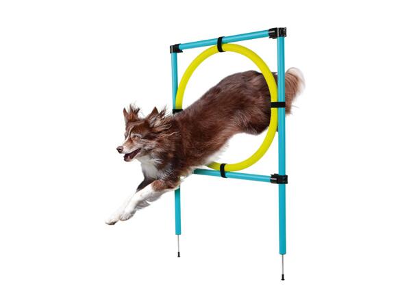 ZOOFARI(R) Agility udstyr