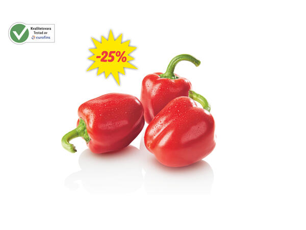 Röd paprika