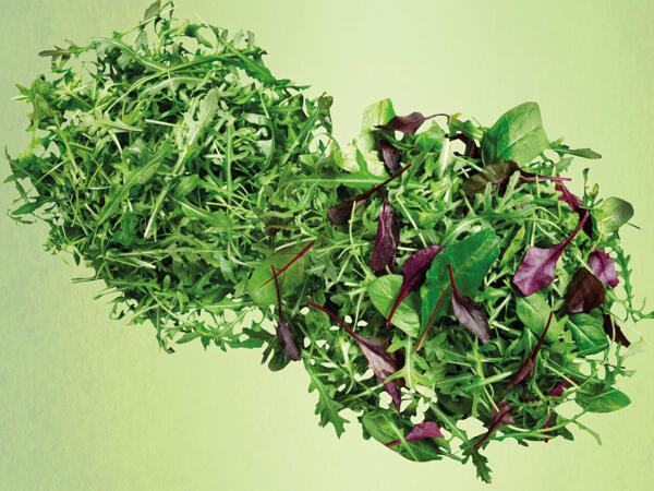 Salat
