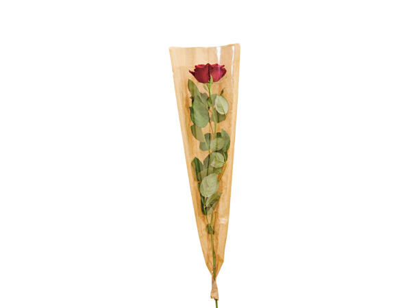 Premiumrose