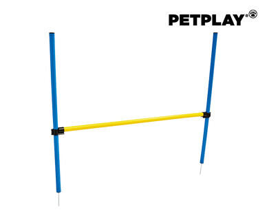 Dog Agility Assortment