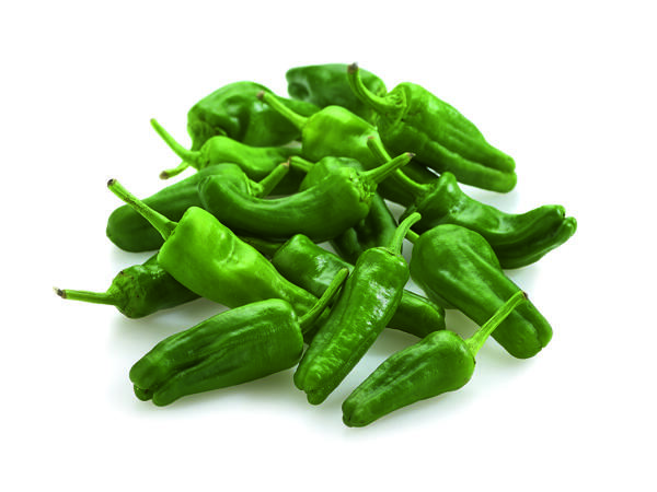Pimiento de Padron