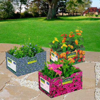 Sommerblomster