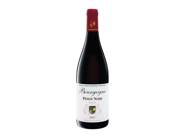 PINOT NOIR BOURGOGNE 2023