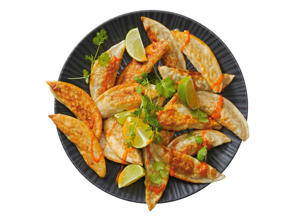 Vitasia Gyoza Dumplings with Spicy Vegetables & Tofu