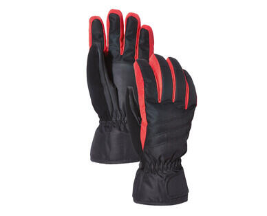 Adult's Ski Gloves