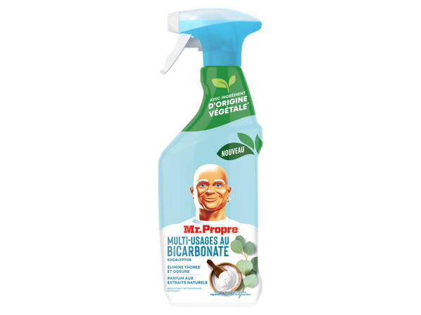Reinigungsspray