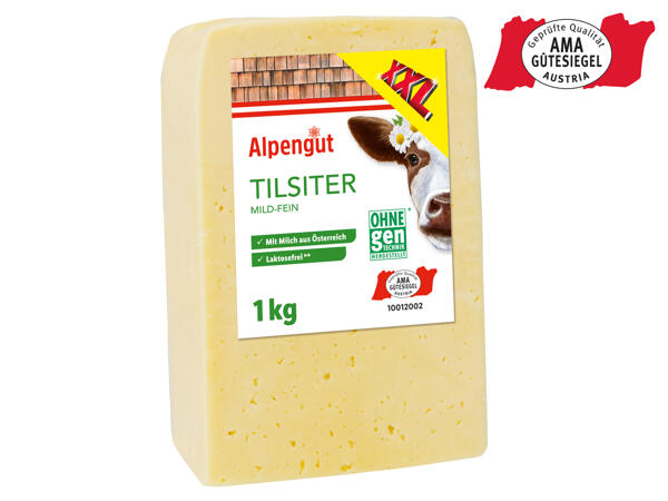 Tilsiter am Stück