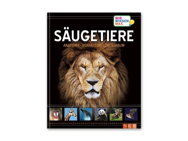 Kinder Wissensbuch