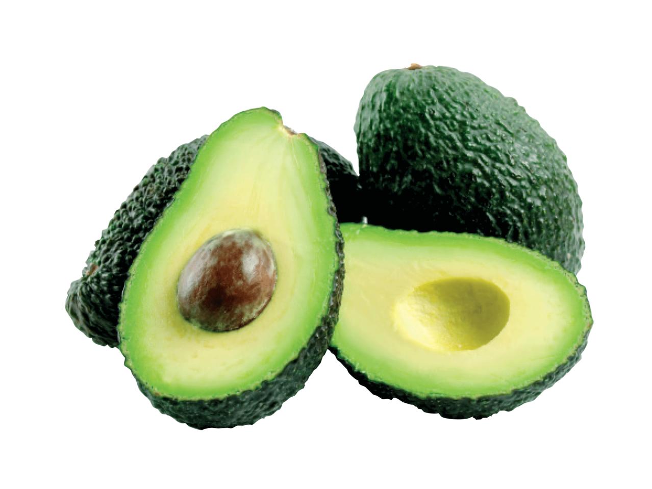 Avocado