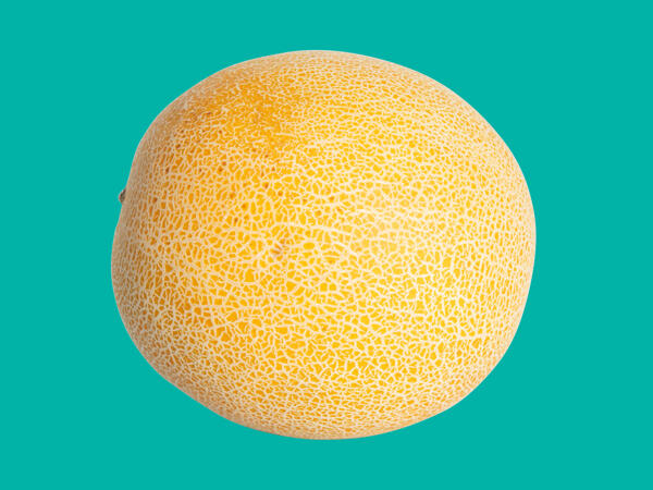 Galia Melon