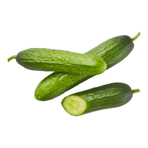 Miniconcombre