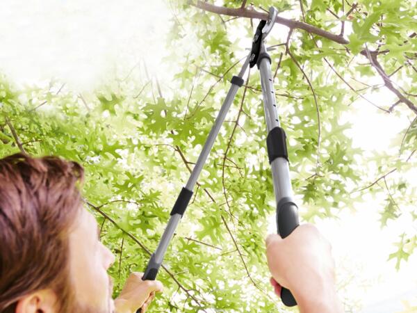 Extendable Anvil Pruning Lopper