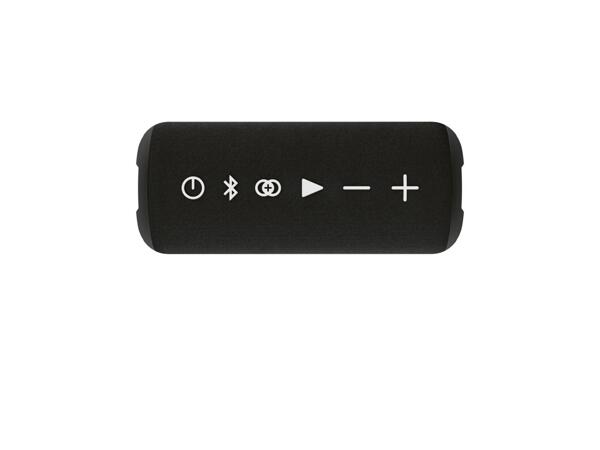 Bluetooth(R) Speaker