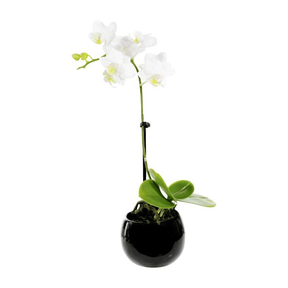Mini orchidée avec pot aimanté en céramique