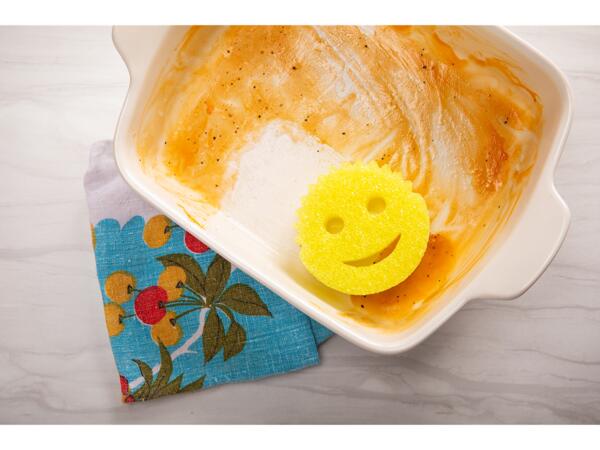 Sponge