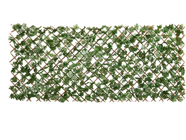Privacy Screen