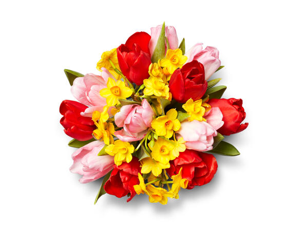 Spring Duo Bouquet