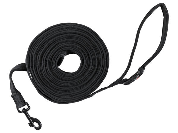 Dog Training Lead